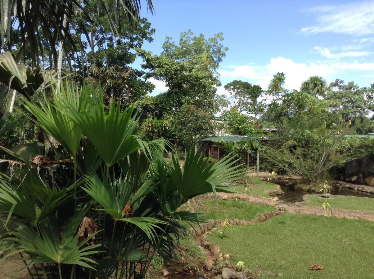 Wisdom Garden Hotel Tena Esterno foto