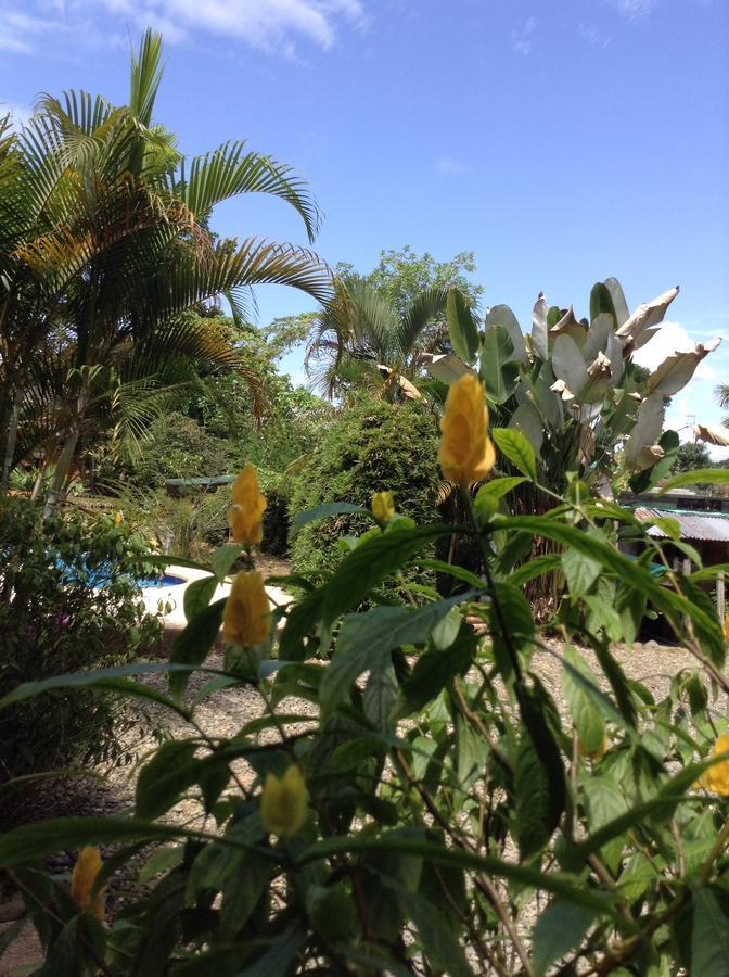 Wisdom Garden Hotel Tena Esterno foto