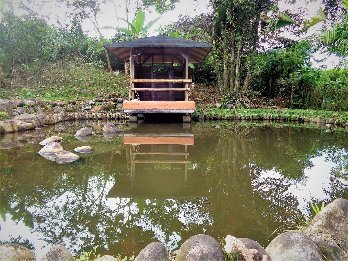 Wisdom Garden Hotel Tena Esterno foto
