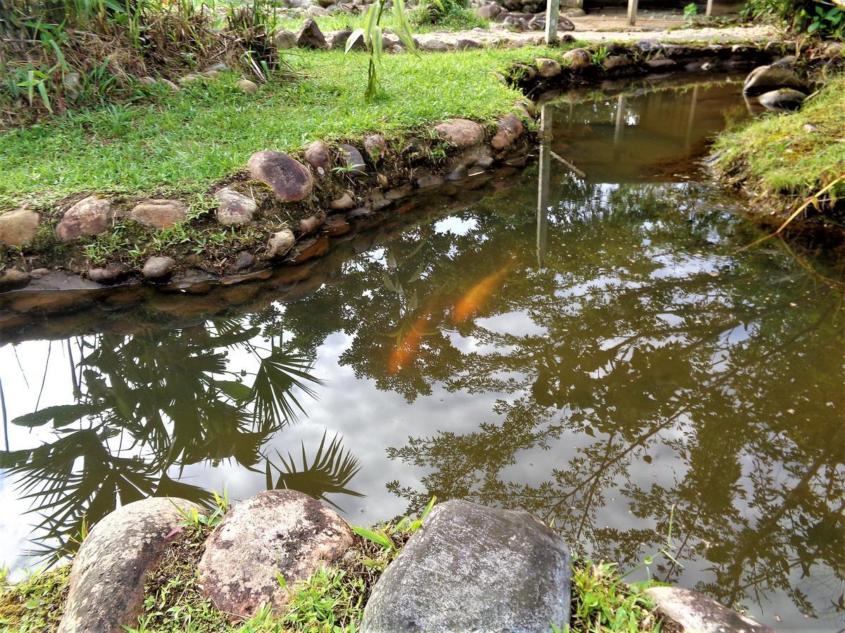 Wisdom Garden Hotel Tena Esterno foto