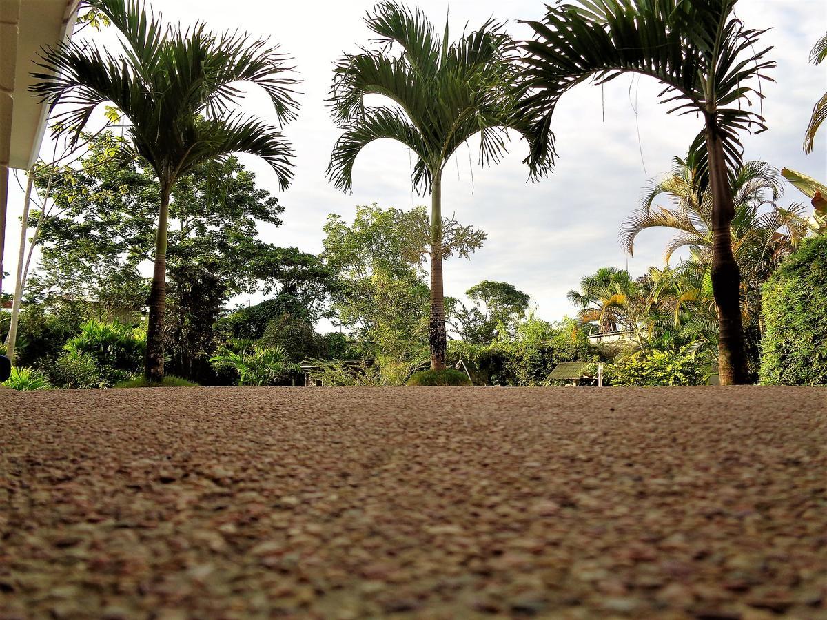 Wisdom Garden Hotel Tena Esterno foto