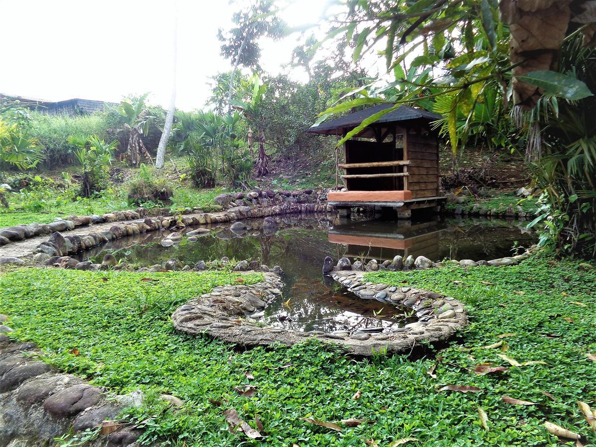 Wisdom Garden Hotel Tena Esterno foto